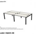 Model: SQ4CS-EE